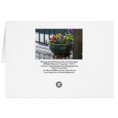 Blank, Viola Cards (Back Horizontal)