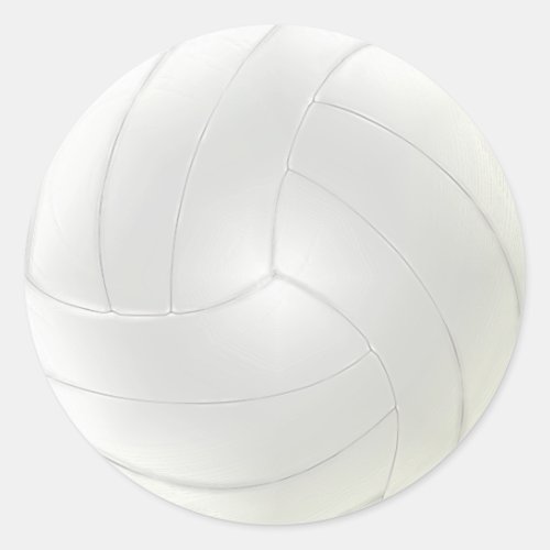 Blank Volleyball Stickers to Hand Write Names