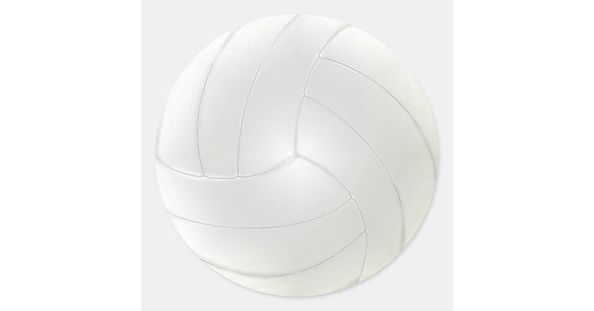Blank Volleyball Stickers to Hand Write Your Names | Zazzle