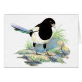 Blank Watercolor Magpie Garden Bird (Front Horizontal)