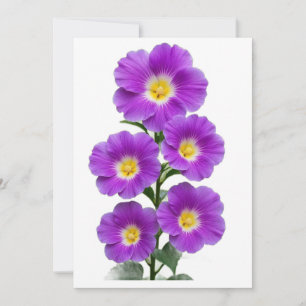 Blank White Envelopes Invitation