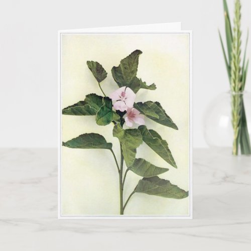 Blank Wild Flower greeting card