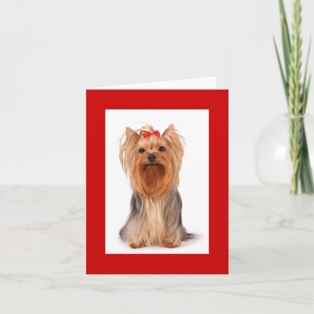 Blank Yorkshire Terrier Puppy Dog Notecard (Front)