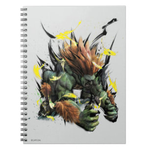 Blanka Charge Notebook