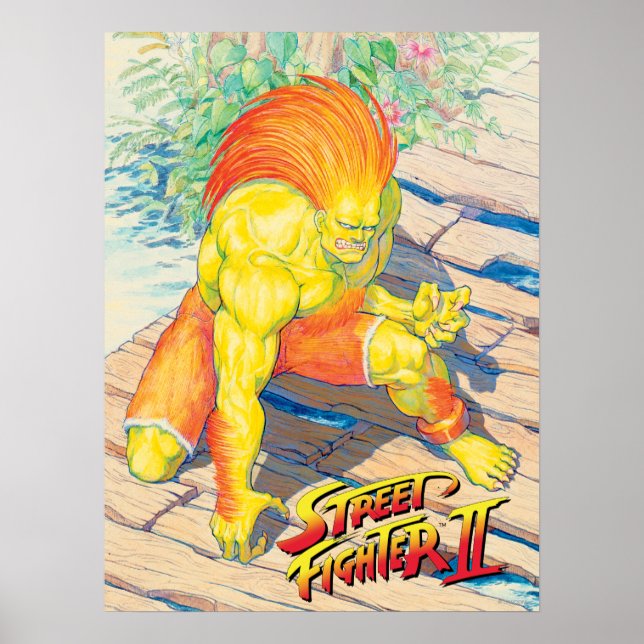 Blanka on Bridge Poster (Front)