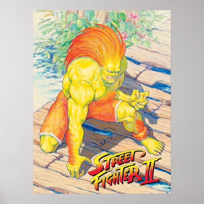 Blanka on Bridge Poster