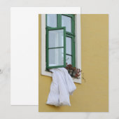 Blanket (Front/Back)