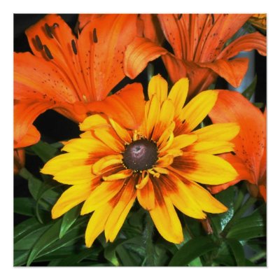 Blanket Among the Lilies Flower Poster