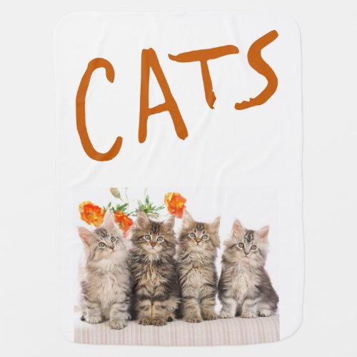 Blanket Baby Cats