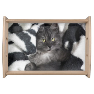 blanket cat serving tray