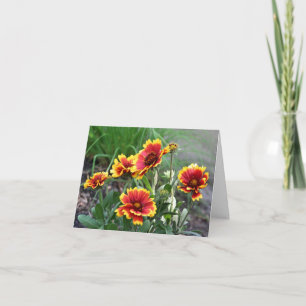 Blanket Daisy Flower Photography Note Card