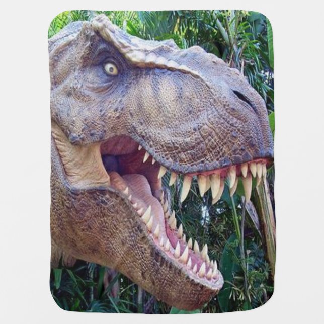 Blanket Dinosaur (Front)