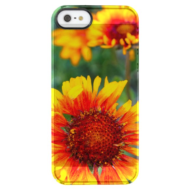 Blanket flower aka brown eyed susan in Glacier Uncommon iPhone Case (Back)