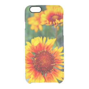 Blanket flower aka brown eyed susan in Glacier Clear iPhone 6/6S Case
