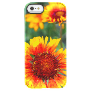 Blanket flower aka brown eyed susan in Glacier Permafrost iPhone SE/5/5s Case