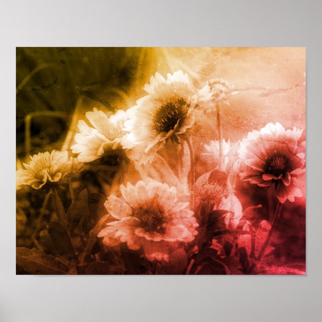 Blanket Flower Black And White Distressed Abstract Poster (Front)