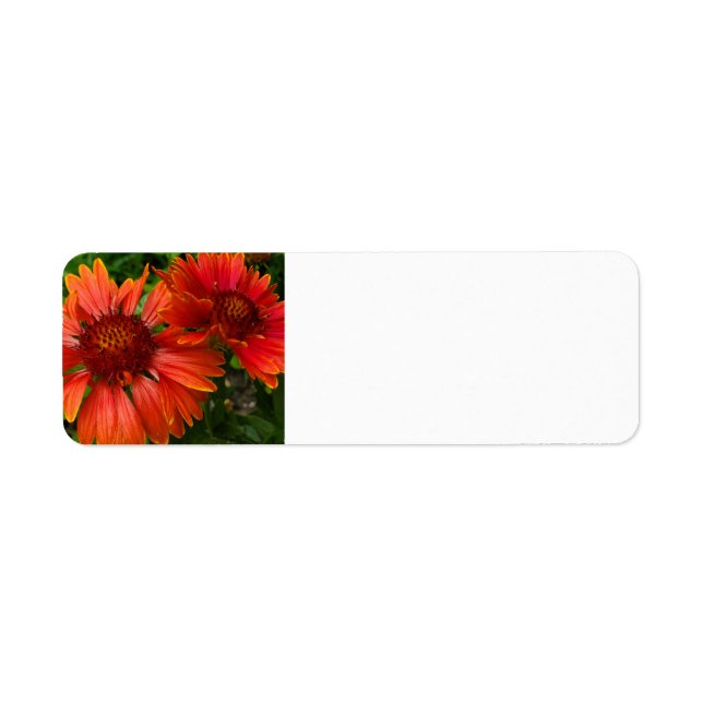 Blanket Flower Label (Front)