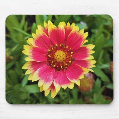 Blanket Flower Mouse Pad