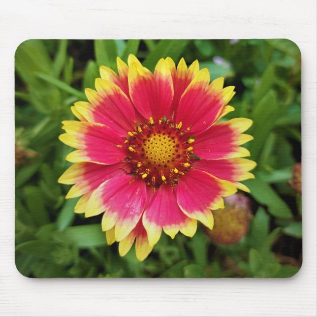 Blanket Flower Mouse Pad (Front)