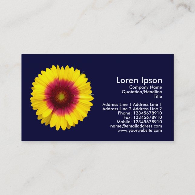 Blanket Flower - Navy Blue Business Card (Front)