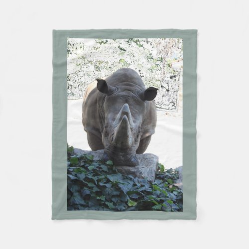 blanket _ rhinoceros