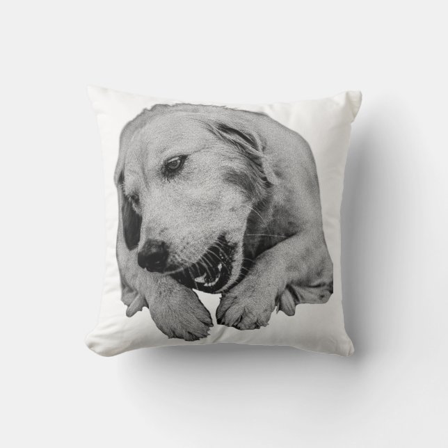 Blankets, Chews And Evening Lights Throw Pillow (Front)