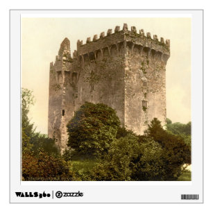 Blarney Castle, Co. Cork, Ireland Wall Decal