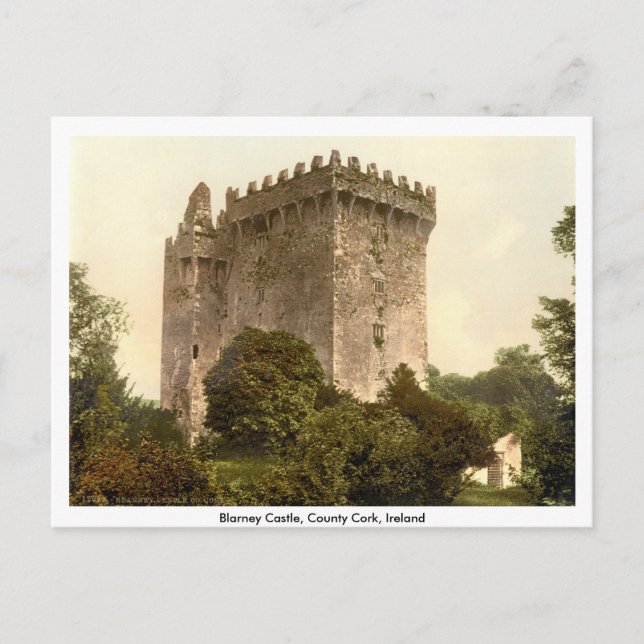 Blarney Castle, Co. Cork, Munster, Ireland Postcard (Front)