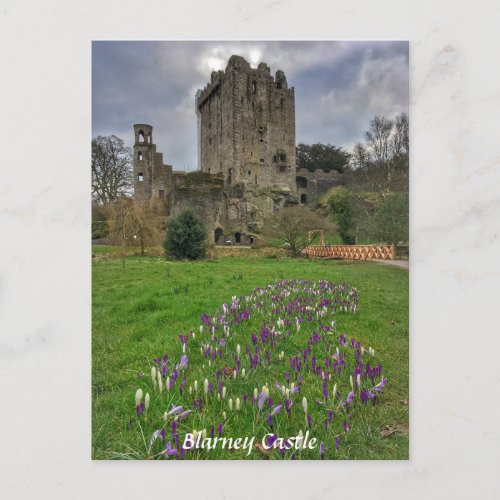 Blarney Castle County Cork Ireland Postcard