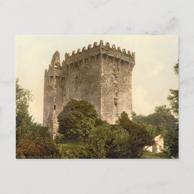 Blarney Castle, County Cork Postcard (Front)