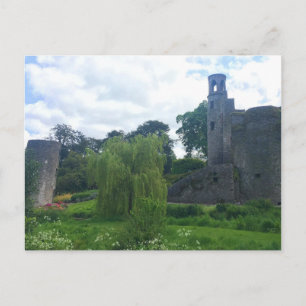Blarney Castle Grounds Postcard