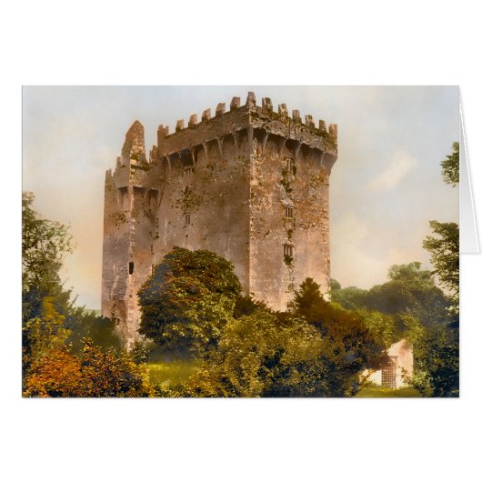 Blarney Castle Ireland Cards (Front Horizontal)