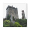 Blarney Castle & Tower, Cork, Ireland Magnet