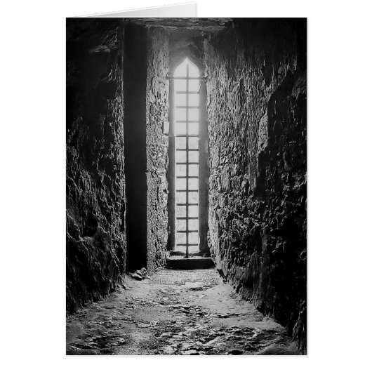 Blarney Defensive Window Cards (Front)