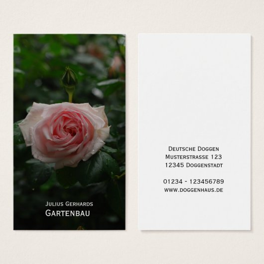 Blau und frei (Front & Back)