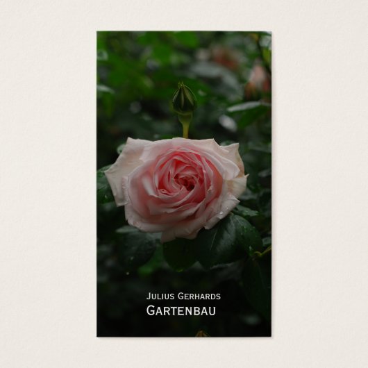 Blau und frei (Front)