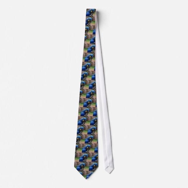 blauaras parrot neck tie (Front)