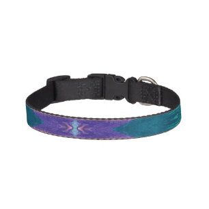 Blaze C/M on a pet collar