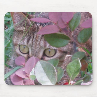 Blaze Cat Eyes Mousepad