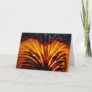 Blaze of Color, card