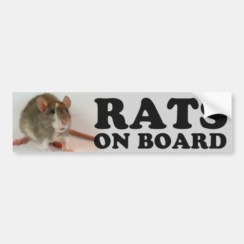 Blazed Rats on Board Bumper Sticker