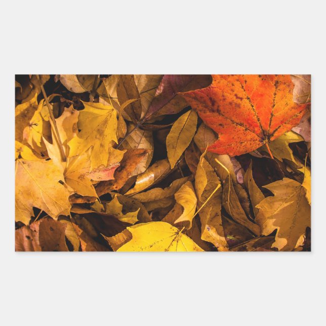Blazing Autumn Leaves Rectangular Sticker (Front)