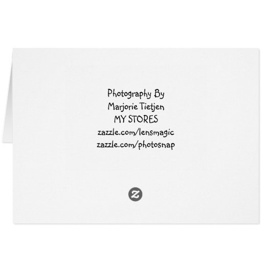 Blazing Star Flower (Back Horizontal)