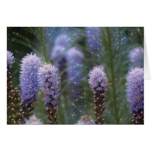 Blazing Star Flower Cards (Front Horizontal)
