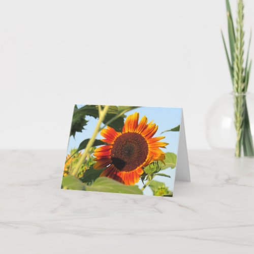 Blazing Sunflower Note Card