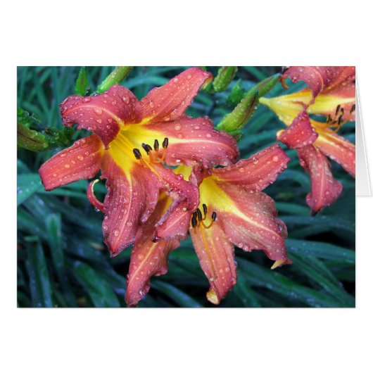 Blazing Torch (Front Horizontal)