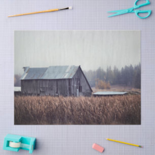 Bleak Abandoned Gray Barn in a Grain Field Tissue Paper