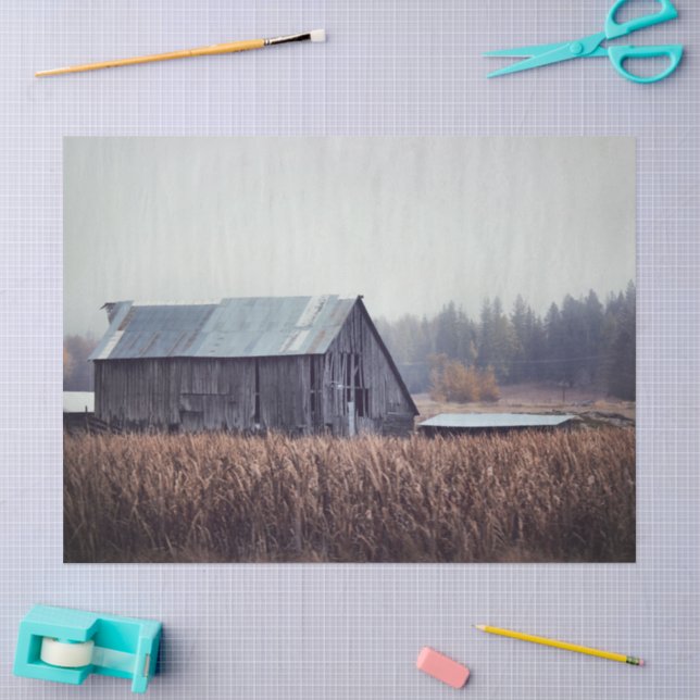 Bleak Abandoned Gray Barn in a Grain Field Tissue Paper (Craft)