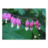 Bleeding Heart (Front Horizontal)