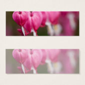 Bleeding Heart (Front & Back)